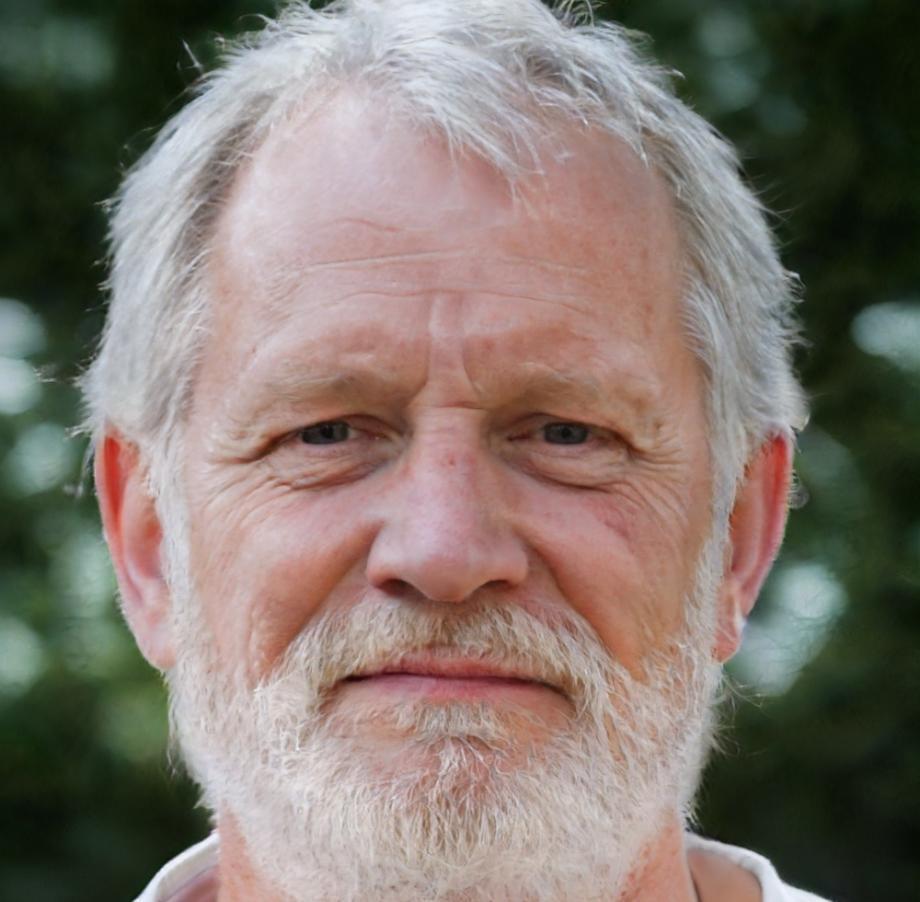 Thomas Weber - Senior Finanzanalyst und Kursleiter